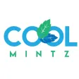 Cool Mintz Marketing Agency Cool Mintz Marketing Agency