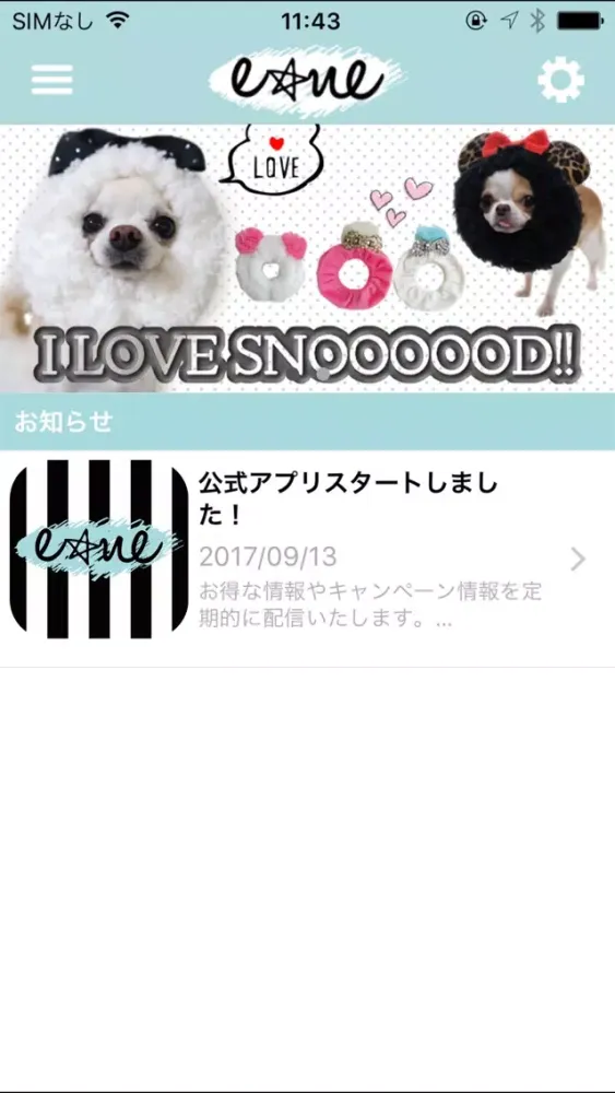 Zrzuty ekranu 犬服（ドッグウェア）専門店「ene」