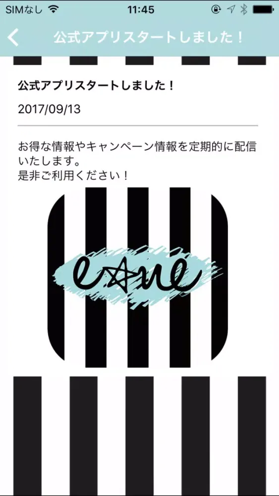 Zrzuty ekranu 犬服（ドッグウェア）専門店「ene」