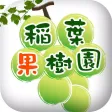 ギフト・贈答品に、栃木の美味しい果物を【稲葉果樹園】 ギフト・贈答品に、栃木の美味しい果物を【稲葉果樹園】