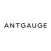 ANTGAUGE (アントゲージ)
