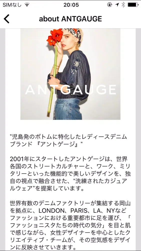 Capturas de tela do ANTGAUGE (アントゲージ)