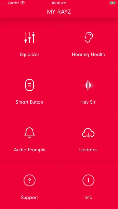 Скриншоты Rayz Audio