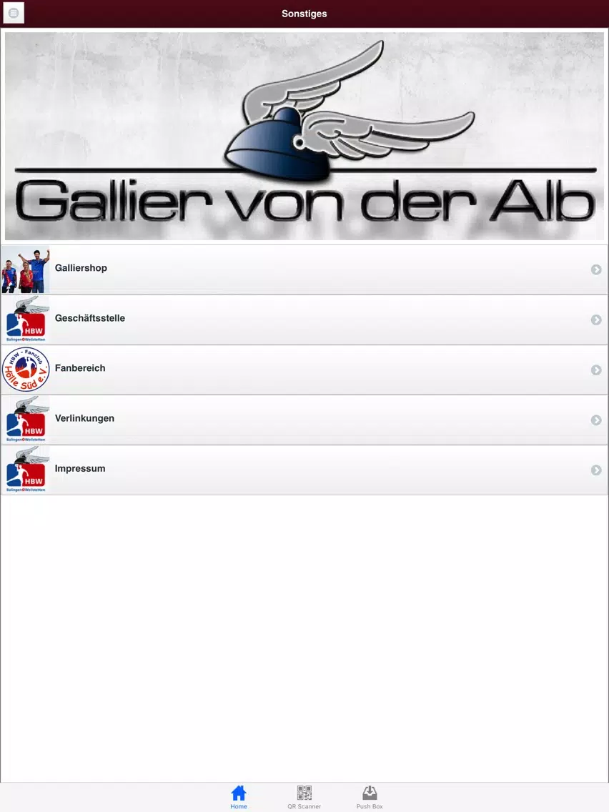 HBW Balingen-Weilstetten iPad  स्क्रीनशॉट