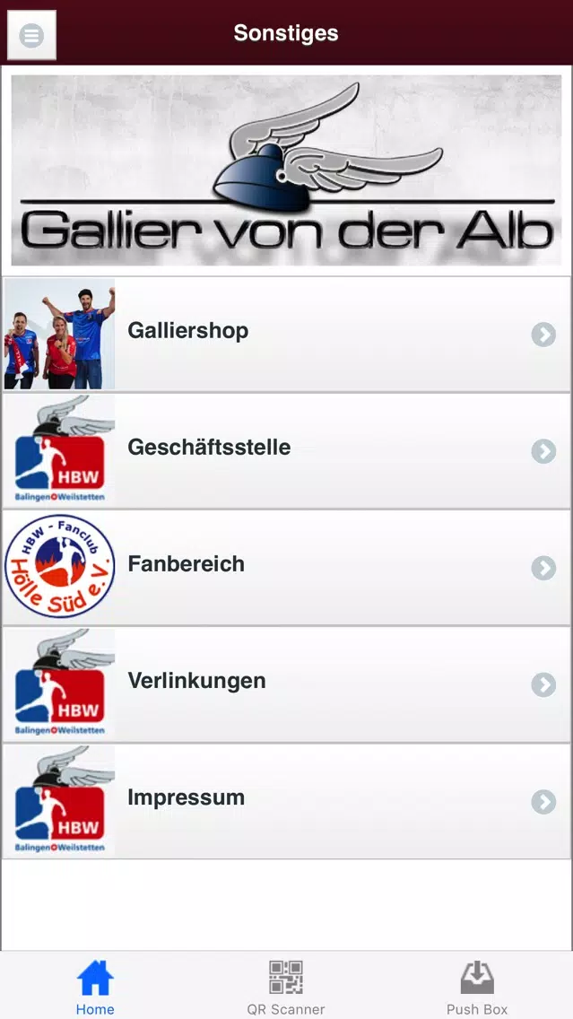 HBW Balingen-Weilstetten स्क्रीनशॉट