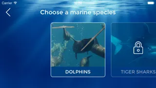 DiveFree應用截圖