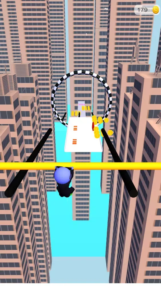 Screenshot di Master Roof Rails 3D