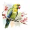 Watercolor Beautiful Birds