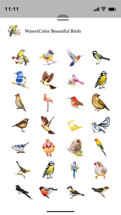 صور Watercolor Beautiful Birds