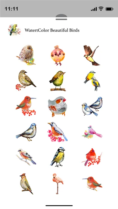 صور Watercolor Beautiful Birds