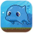 Tappy Dolphin Tappy Dolphin