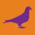 Next Generation pigeon