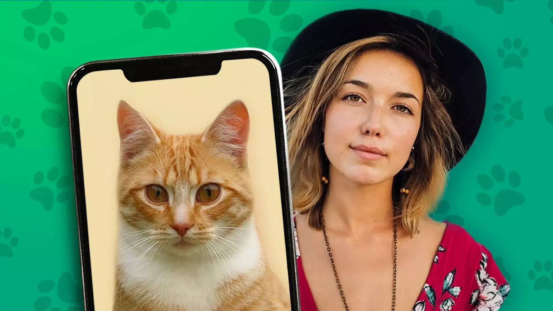 Kitten: what cat are you? joke Screenshots