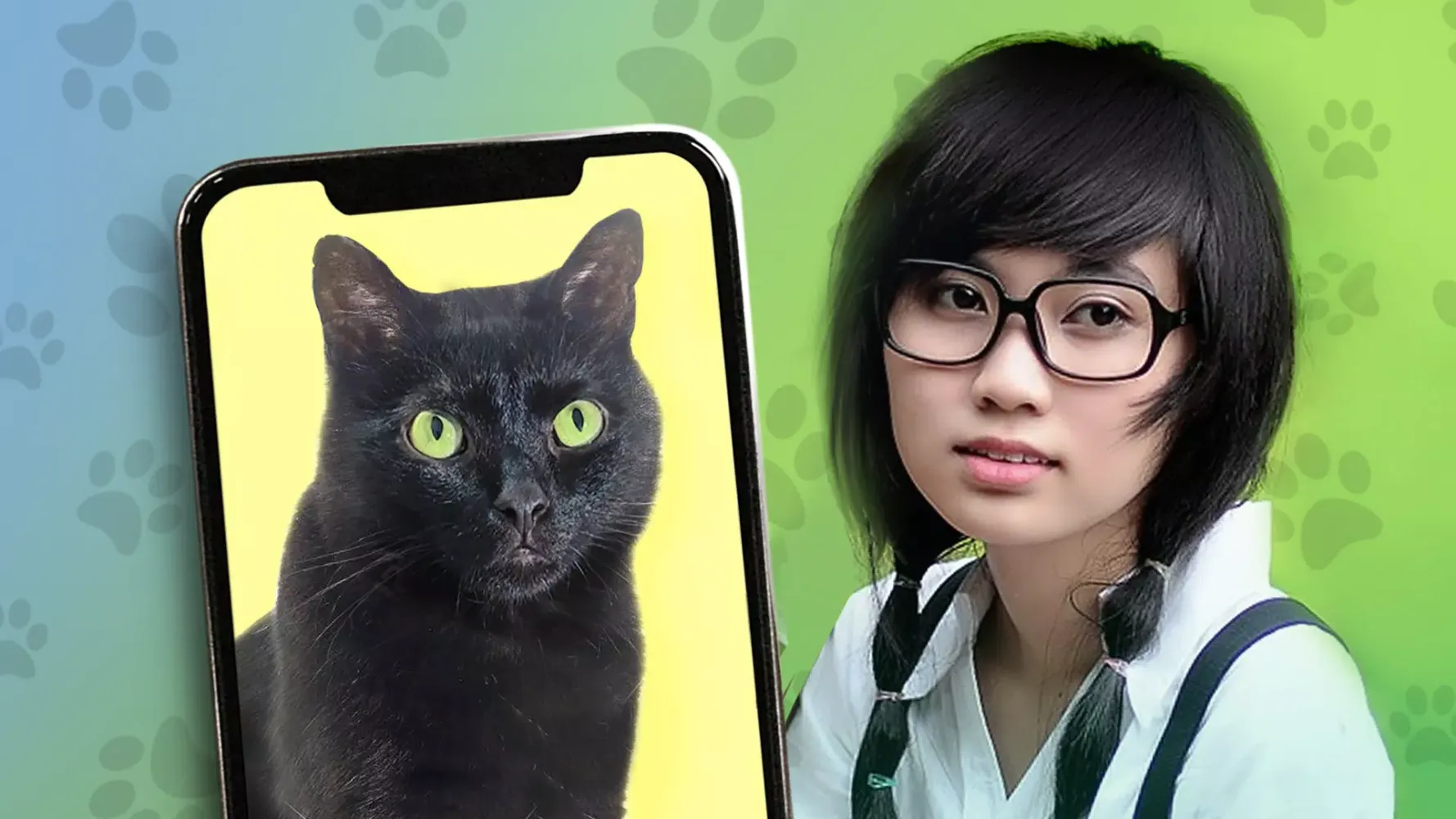 Kitten: what cat are you? joke Screenshots