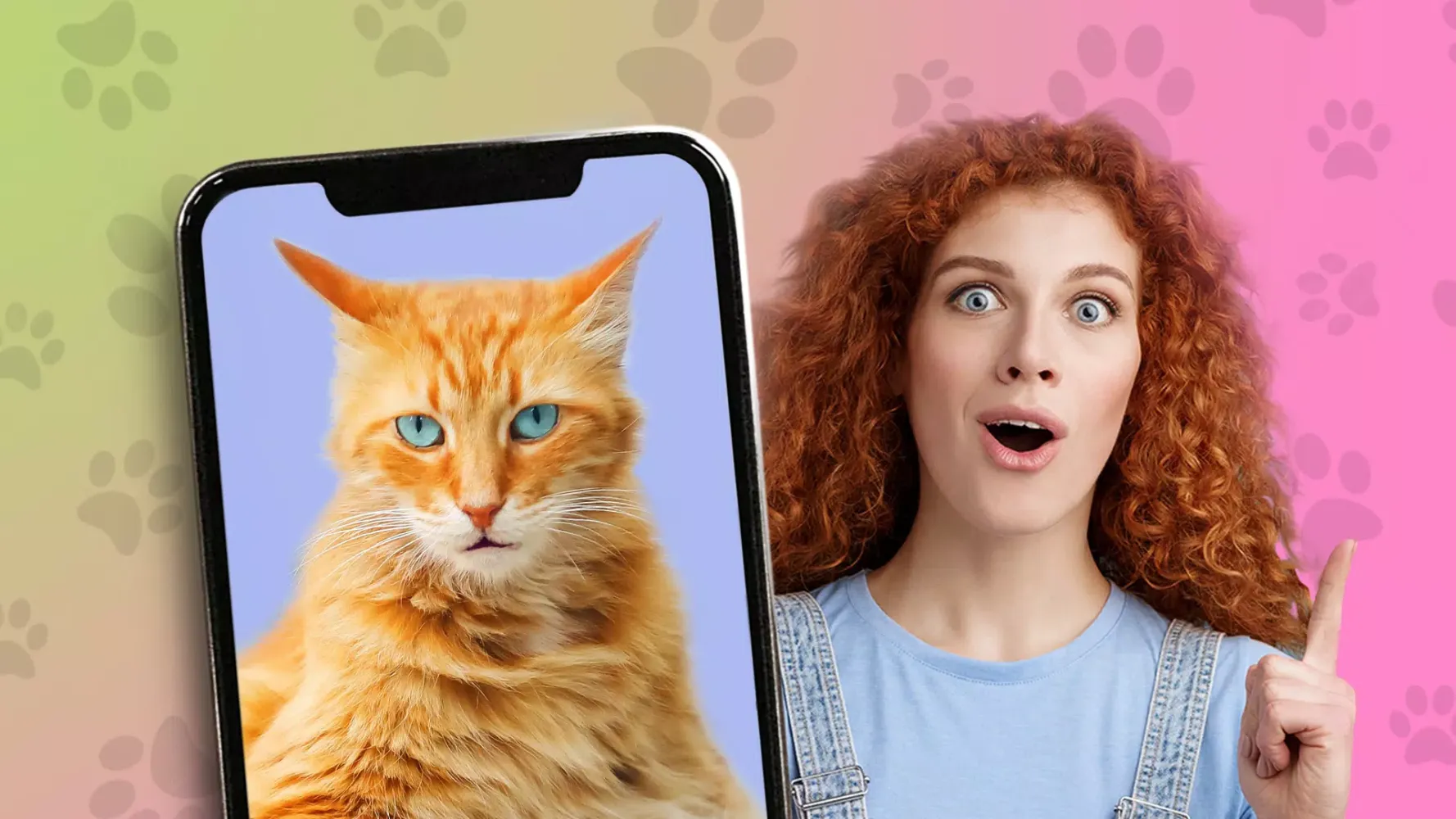 Kitten: what cat are you? joke Screenshots