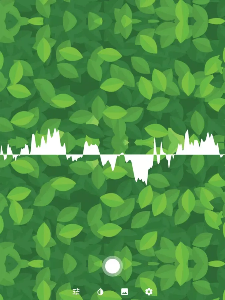 صور Audiogram. iPad