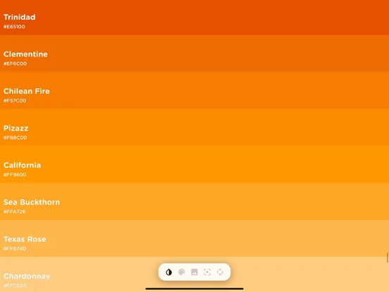 col.or - AR Color Name Finder iPad 应用截图