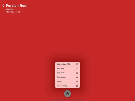 col.or - AR Color Name Finder iPad 应用截图