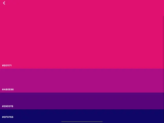 col.or - AR Color Name Finder iPad 应用截图