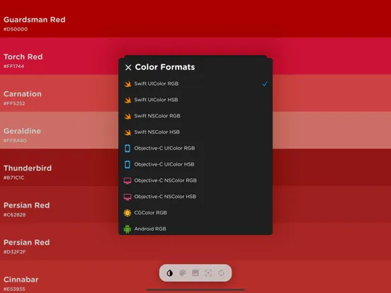 col.or - AR Color Name Finder iPad 应用截图