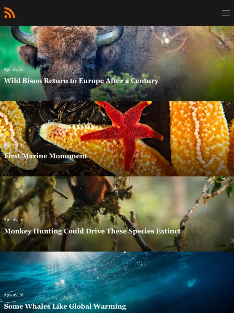 Zrzuty ekranu Newsy : Elegant RSS Reader iPad 