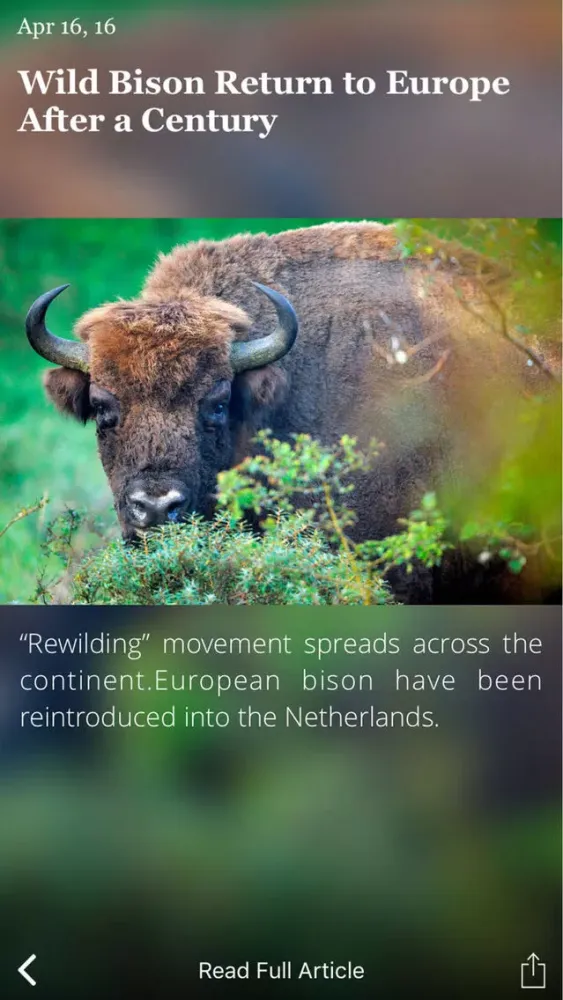 Zrzuty ekranu Newsy : Elegant RSS Reader