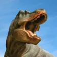 World of Dinosaurs - AR Dinos