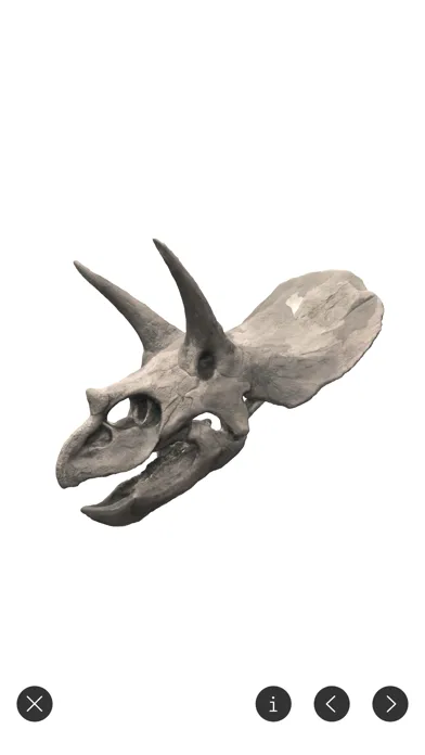 Tangkapan skrin World of Dinosaurs - AR Dinos