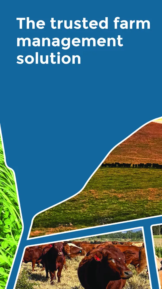 Phoenix Live Screenshots