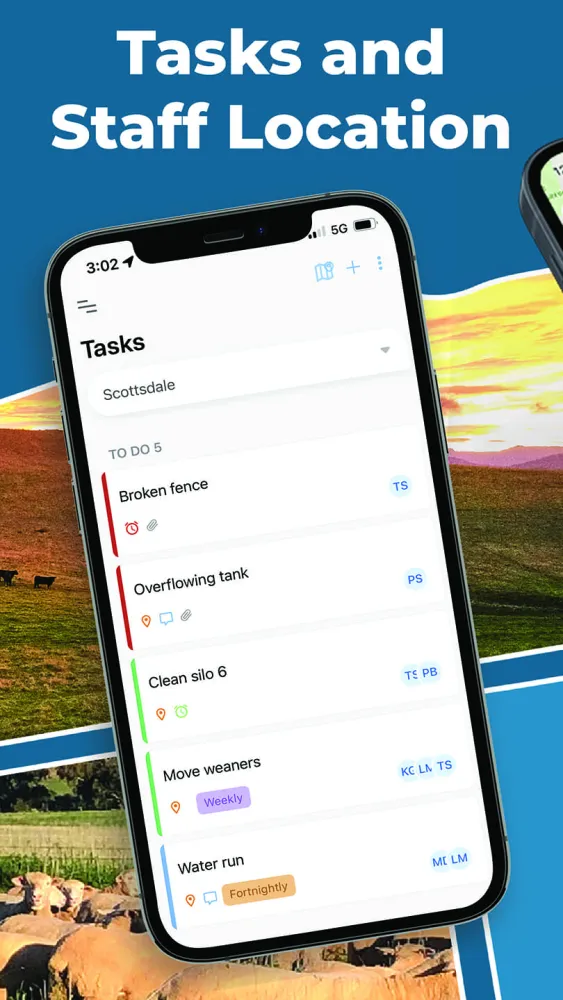 Phoenix Live Screenshots