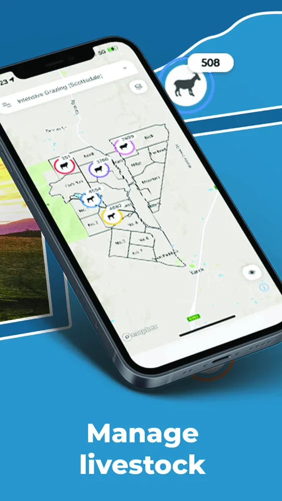 Phoenix Live Screenshots