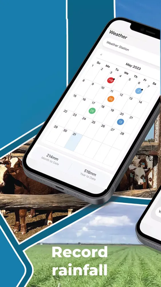 Phoenix Live Screenshots