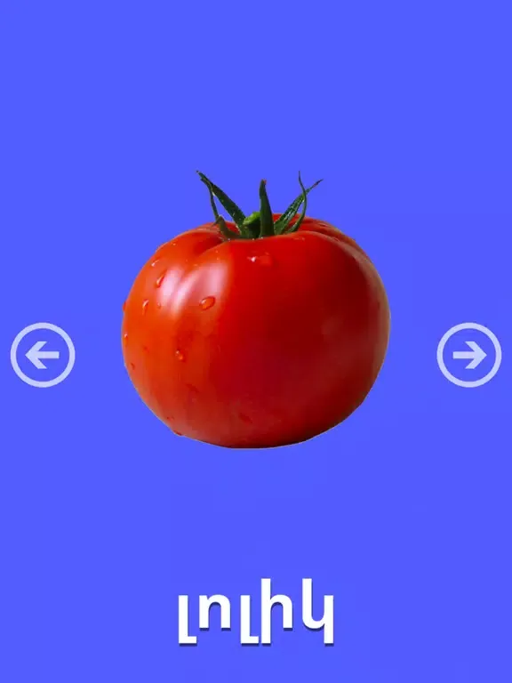 Captures d'écran de First 50 Words - Armenian Lite iPad 