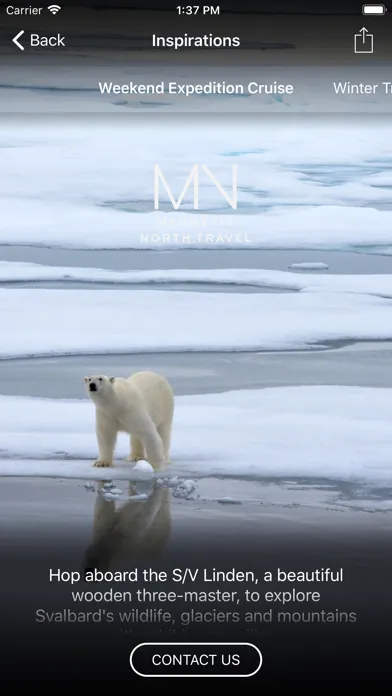 تصاویر Magnetic North Travel