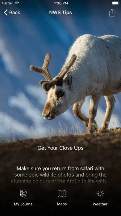 Скриншоты Natural World Safaris