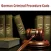 German Criminal Procedure Code