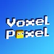 VOXEL POXEL VOXEL POXEL