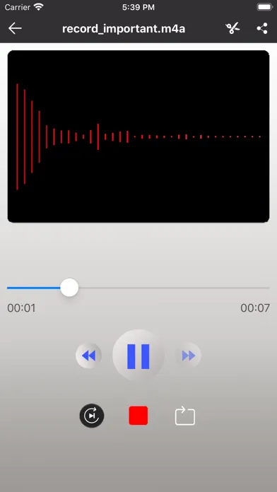 Voice Recorder -Audio Recorder Screenshots