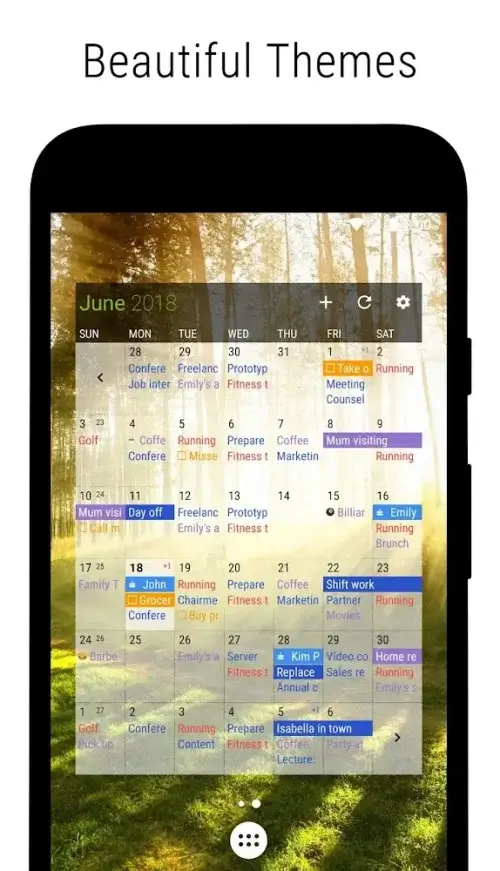 Business Calendar 2 Pro-screenshot-5