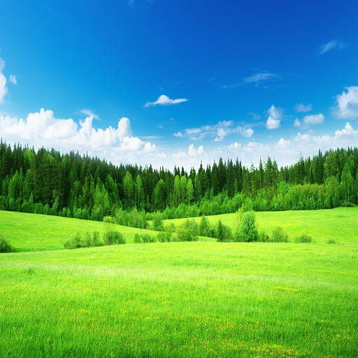 ecoservice