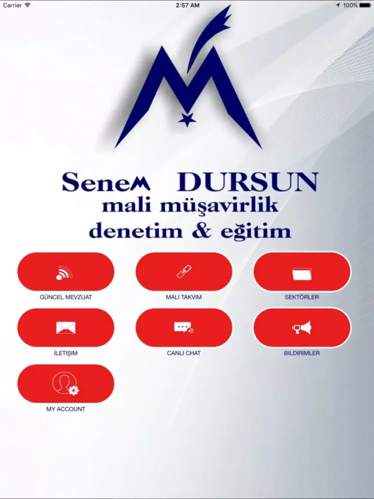 Ảnh chụp màn hình của Senem Dursun iPad 