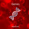 Blood Group Genes