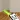 Distance Laser Meter