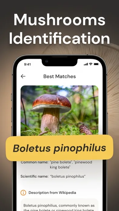 Mushroom Identification ID應用截圖