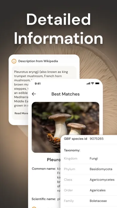 Mushroom Identification ID應用截圖