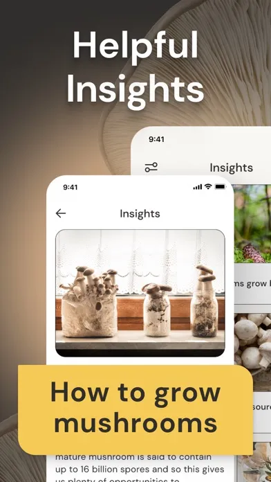 Mushroom Identification ID應用截圖