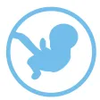 My Pregnancy: Month by Month