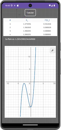 Numerical Methods: Calculator Screenshots