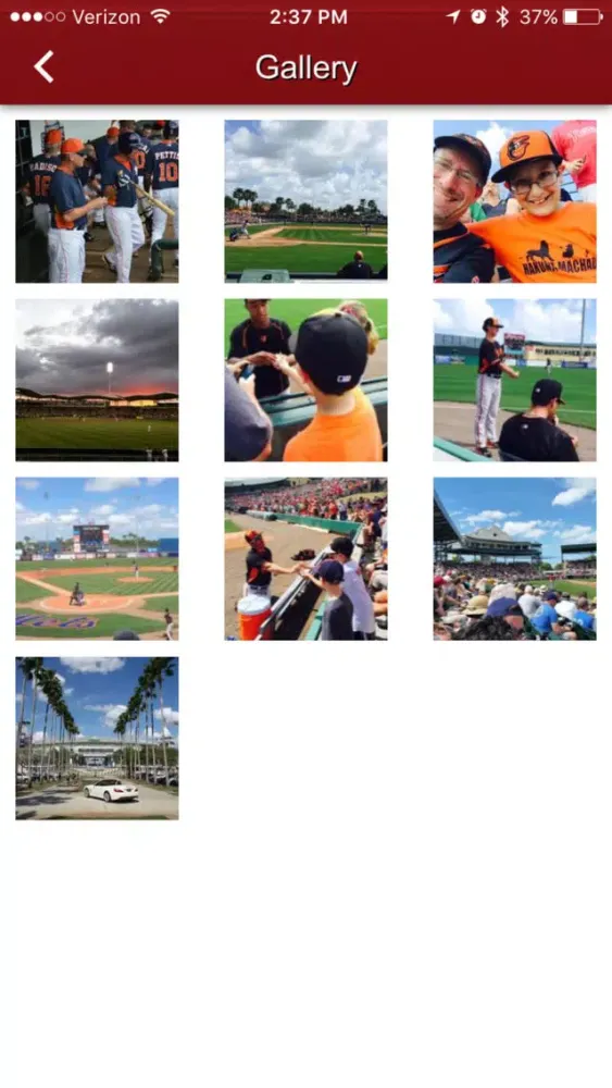 Capturas de tela do Florida Grapefruit League