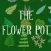 The Flower Pot